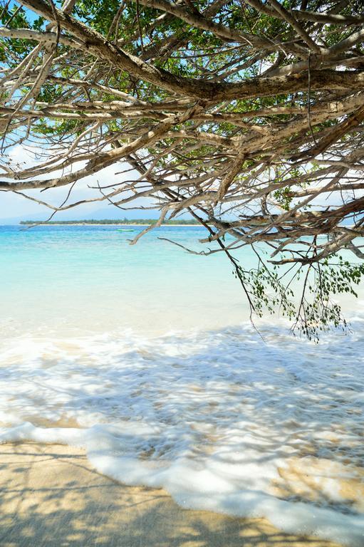 Gazebo Meno Hotel Gili Meno Eksteriør billede
